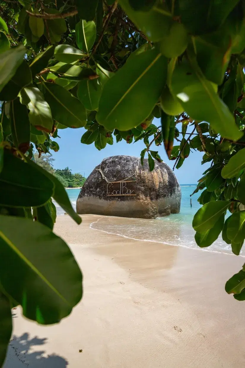 Island hopping Cruise Full Day